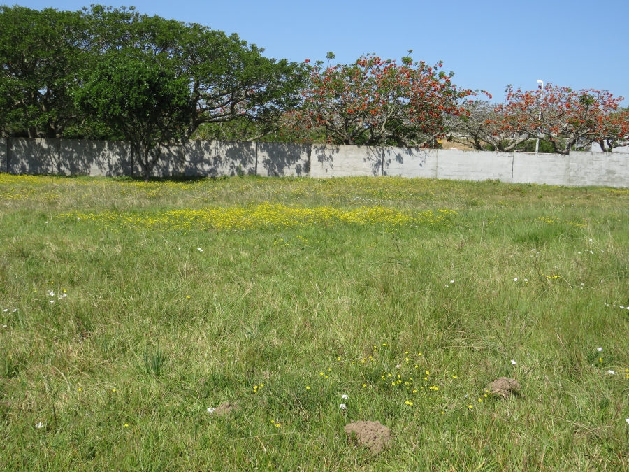 0 Bedroom Property for Sale in Boesmansriviermond Eastern Cape